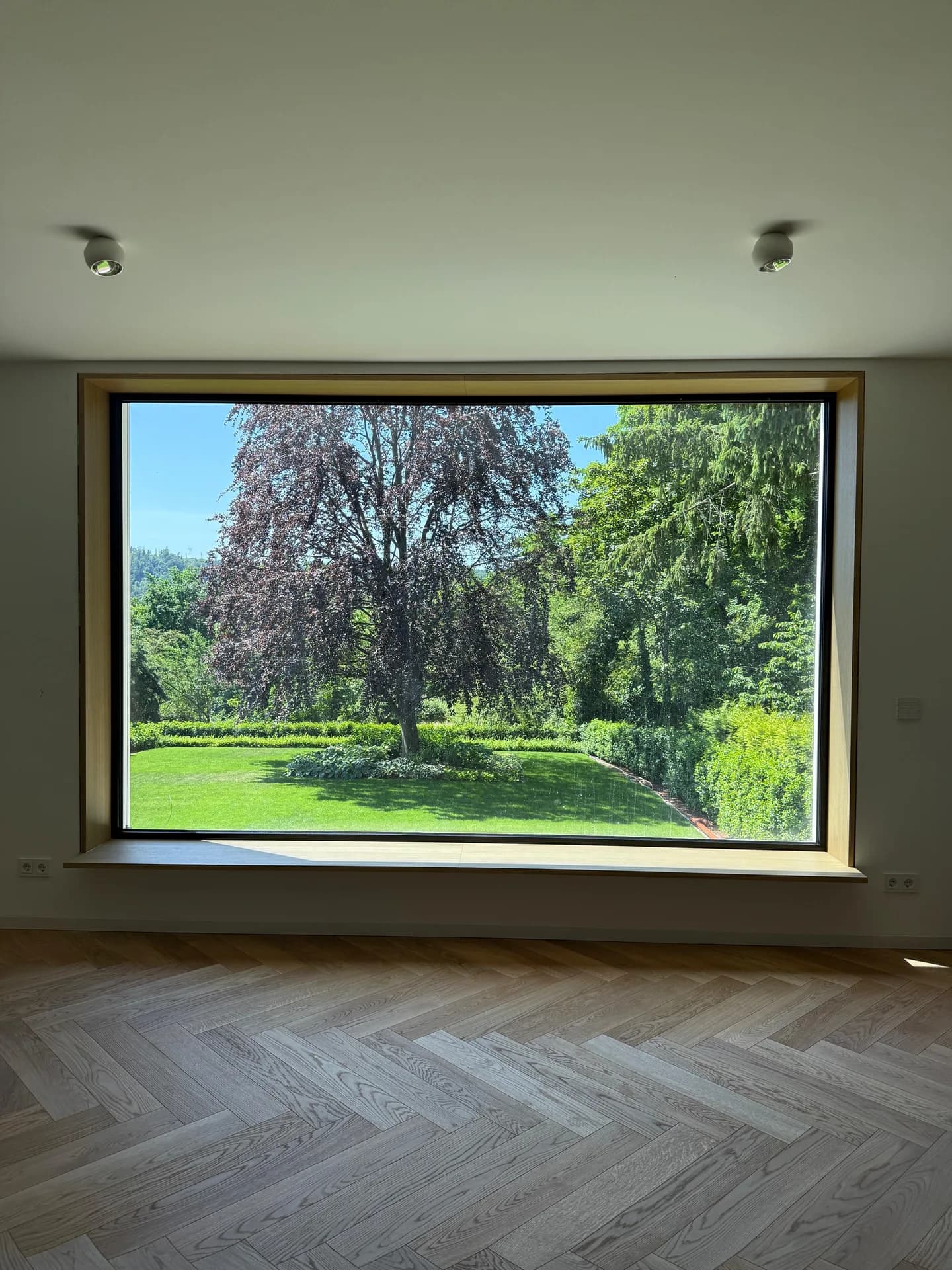 Bodentiefes Panorama-Fenster mit dunklem Holzrahmen und Blick in einen Mischwald — Referenzprojekt Fenster Labisch, Saarland